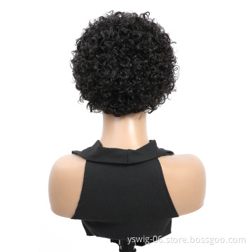 XCCOCO Lace Front Human Hair Wigs For Black Women Jerry Curl Pixie Cut Wig Brazilian Remy Hair Pixie Cut Human Wig
